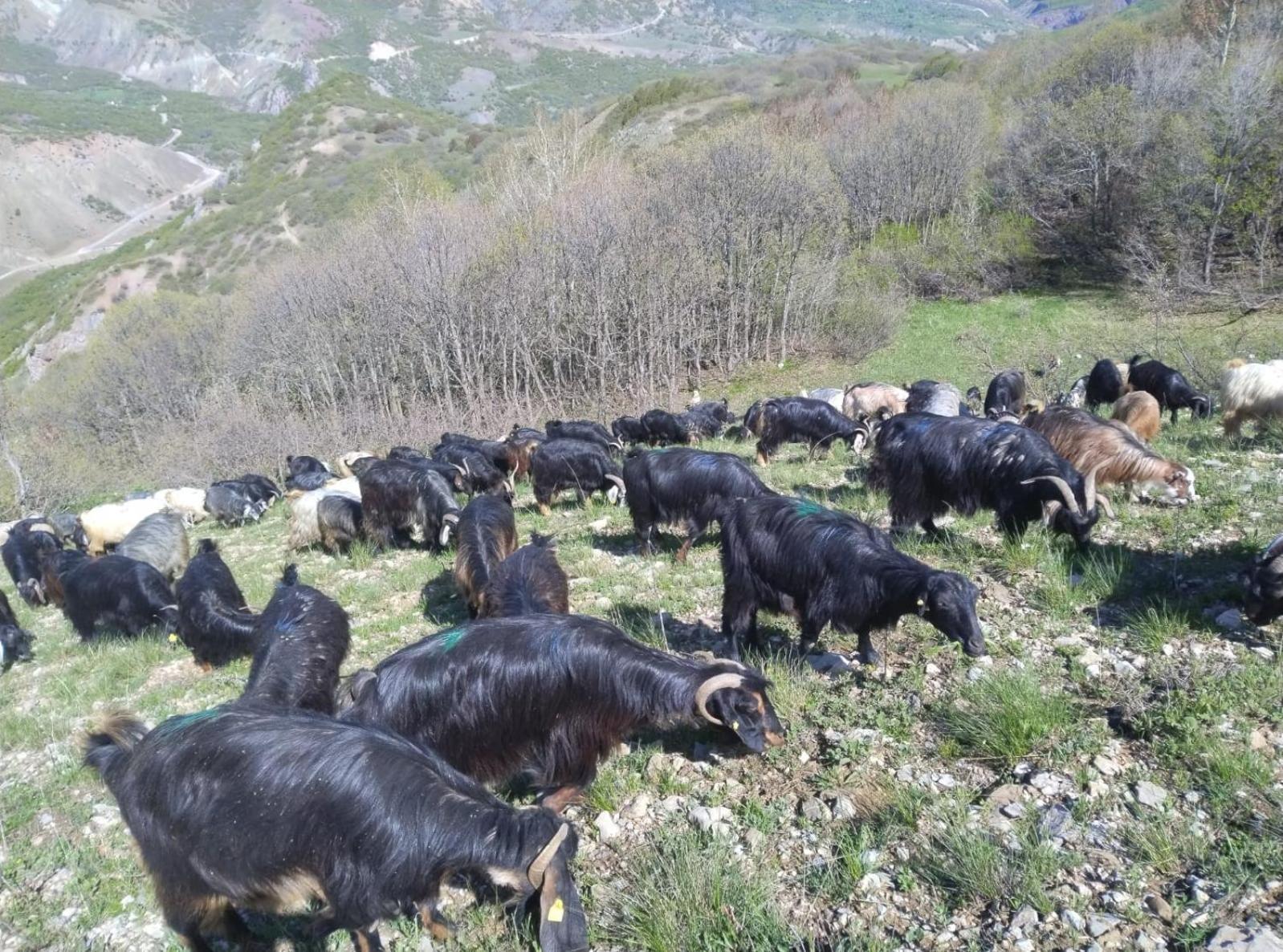 Askireg Hotel Tunceli Kültér fotó