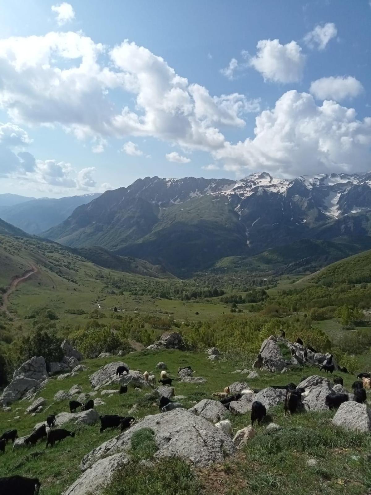 Askireg Hotel Tunceli Kültér fotó